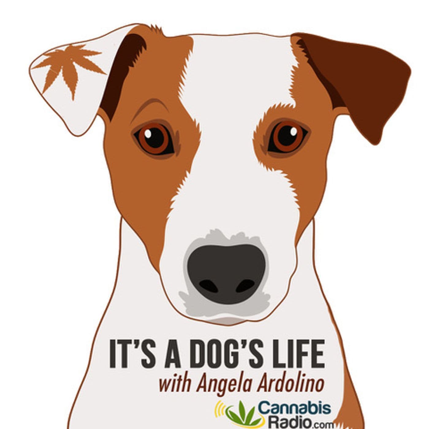 Animal Reiki With Kathleen Prasad