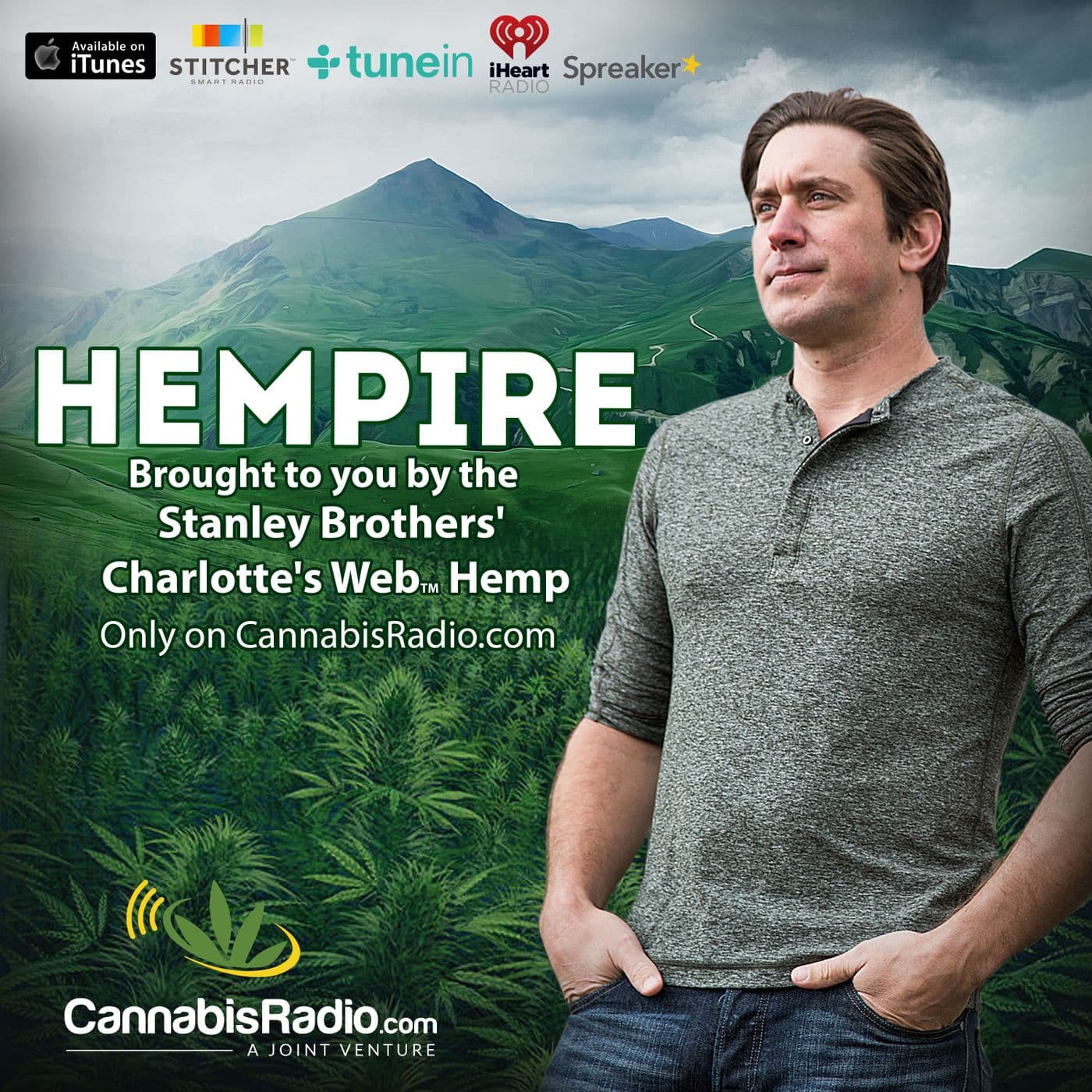The US Hemp Industry Landscape