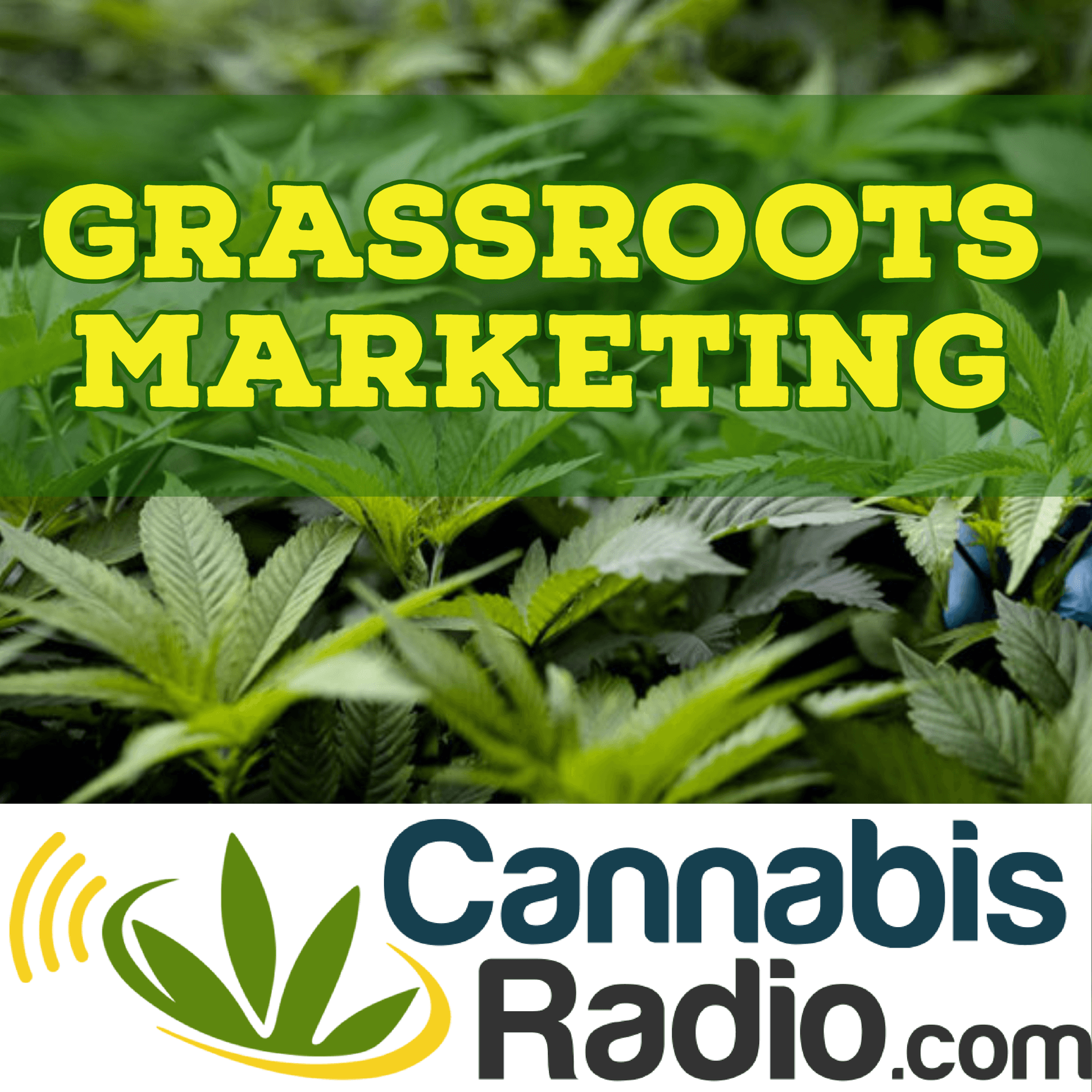 Audacious with CEO Terry Booth (MJ Biz Con)