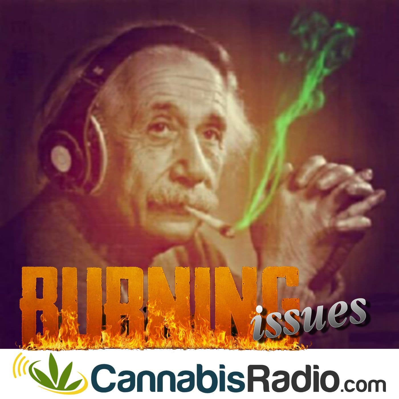 The evidence-base supporting the likelihood of safety and efficacy of cannabis for ADHD