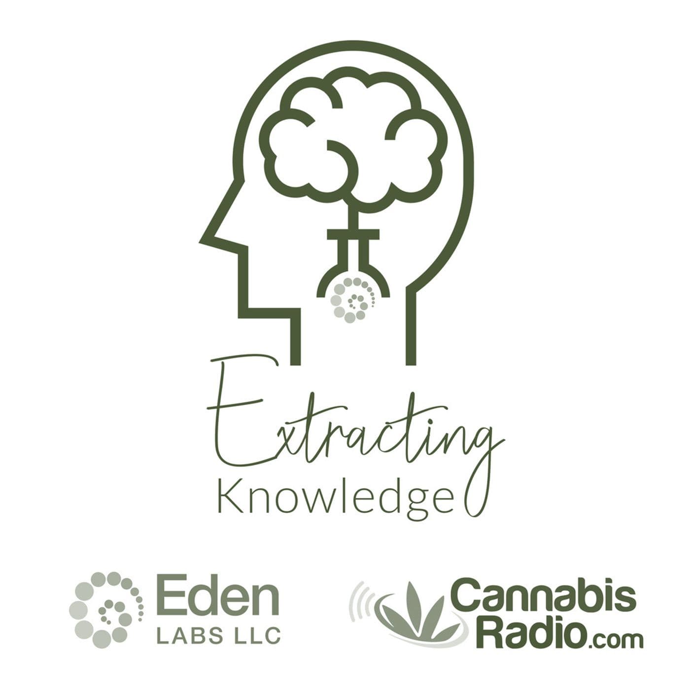 Extracting Knowledge
