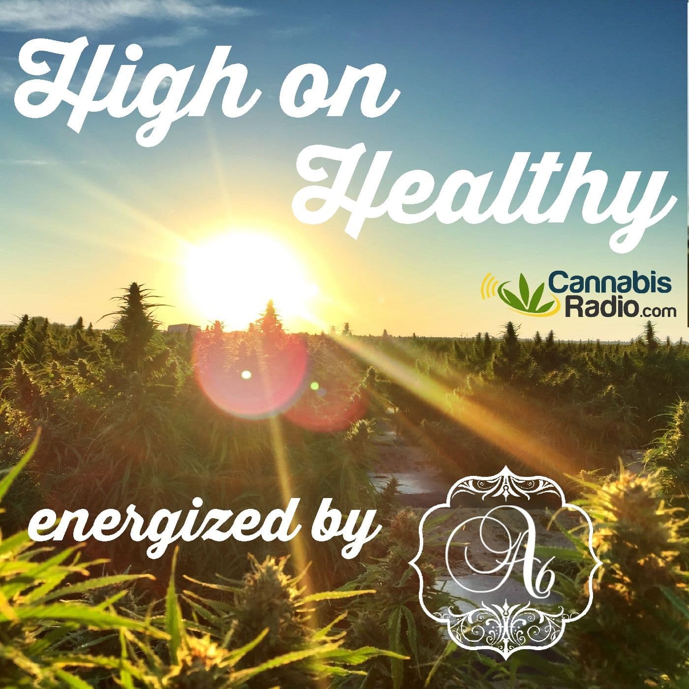 The Greatest Challenges Met In The Cannabis Industry